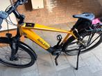 Raleigh Dundee 10 - Gele e-bike Fiets in Perfecte Staat, Nieuw, 50 km per accu of meer, 55 tot 59 cm, Ophalen