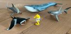 Schleich zeedieren zeepaardje walvis haaien manta rog, Verzamelen, Ophalen of Verzenden, Zo goed als nieuw, Overige soorten, Overige typen