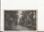 Vught Boschgezicht bij Lunette 3 en 4 W van Lamoen, Verzamelen, Ansichtkaarten | Nederland, Verzenden, 1920 tot 1940, Ongelopen