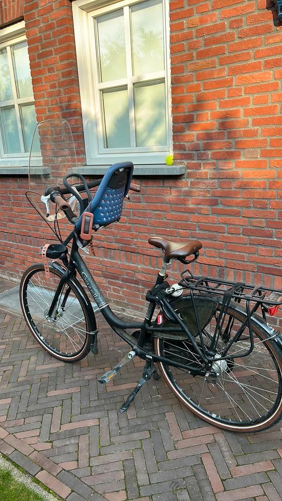 Gazelle Bloom, Fietsen en Brommers, Fietsen | Dames | Moederfietsen, Gebruikt, Gazelle, 56 cm of meer, 2 zitjes, Dubbele standaard