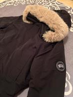 Nieuw Canada Goose Chiliwack winterjas zwarte logo, Ophalen of Verzenden, Zo goed als nieuw, Zwart