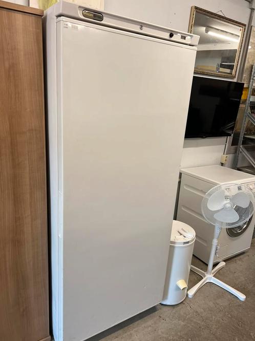 Profisteel koelkast, Witgoed en Apparatuur, Vriezers en Diepvrieskisten, Minder dan 85 cm, Ophalen