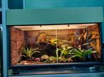 Prachtig tropisch terrarium met techniek en inrichting., Dieren en Toebehoren, Ophalen, Zo goed als nieuw, Terrarium of Paludarium