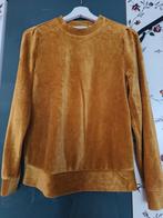 YAYA Gouden Velvet Trui Maat S, Ophalen of Verzenden, Zo goed als nieuw, Maat 38/40 (M), Lange mouw
