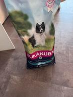 eukanuba honden voer, Dieren en Toebehoren, Ophalen of Verzenden, Hond