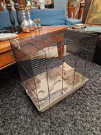 Hamsterkooi + spullen, Kooi, Minder dan 75 cm, Zo goed als nieuw, Hamster