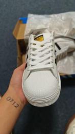 Adidas Superstar CF Zwart-Wit, Kleding | Heren, Schoenen, Ophalen of Verzenden, Nieuw, Zwart, Sneakers of Gympen