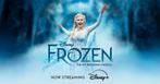Vier kaarten voor de musical Frozen met datum naar keuze, Tickets en Kaartjes, Drie personen of meer