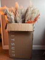 Pampagras pluimen en andere droogbloemdecoratie, Ophalen, Zo goed als nieuw