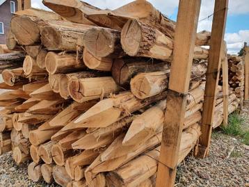 Robuuste en Duurzame Robiniapalen – Kastanje Hekwerken! beschikbaar voor biedingen