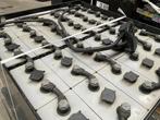 accu / Tractiebatterij / Lithium / Heftruck / Palletwagen /, Overige aandrijving, Heftruck, Accu