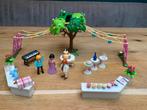 Playmobil Bruiloft 9228, Ophalen of Verzenden, Gebruikt, Jongen of Meisje