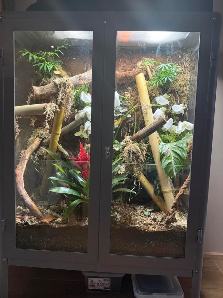 Terrarium - ikea fabrikor, Dieren en Toebehoren, Reptielen en Amfibieën | Toebehoren, Zo goed als nieuw, Ophalen