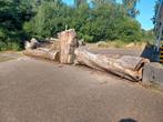 Openhaardhout, Tuin en Terras, Haardhout, Ophalen, Blokken