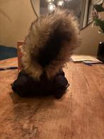 Juicy Couture jasje, Ophalen of Verzenden, Zo goed als nieuw, Hondenjas