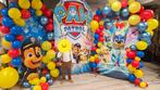 Paw Patrol Backdrop te Huur, Hobby en Vrije tijd, Ophalen, Zo goed als nieuw, Verjaardag