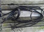 Stang en trens hoofdstel full, Ophalen of Verzenden, Gebruikt, Dressuur