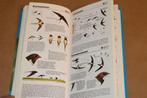 Zakgids Vogels — Alle Vogels Herkennen — Vogelbescherming, Boeken, Ophalen of Verzenden, Zo goed als nieuw, Vogels