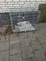 Honden kooi ., Ophalen of Verzenden