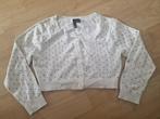 leuke witte bolero/vest, maat S, Kleding | Dames, Ophalen of Verzenden, Wit, Zo goed als nieuw, Maat 36 (S)