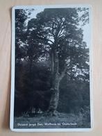 Ansichtkaart Wolfheze, Ophalen of Verzenden, Gelderland