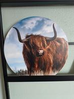 Muurcirkel Schotse hooglander 30cm, Huis en Inrichting, Minder dan 50 cm, Nieuw, Ophalen of Verzenden, Foto of Poster