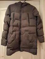Cars Jeans winterjas., Kleding | Dames, Jassen | Winter, Ophalen, Zo goed als nieuw