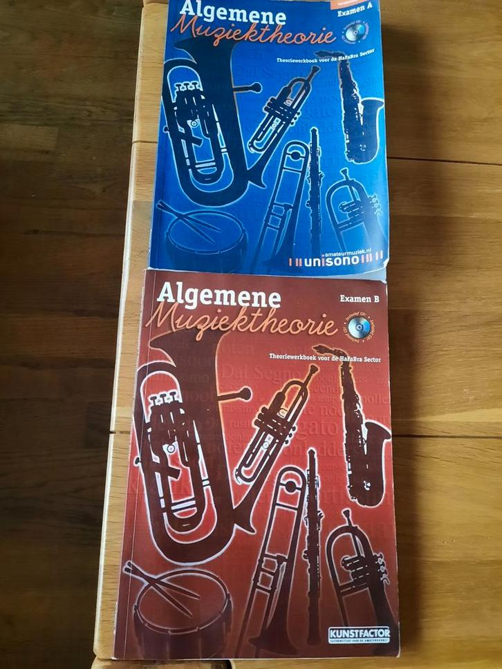 2 boeken: Algemene Muziektheorie Examen A+B-  HaFaBra + cd, Boeken, Muziek, Gelezen, Overige onderwerpen, Ophalen of Verzenden