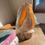 grote oceaan schelp lamp vintage, Ophalen of Verzenden