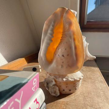 grote oceaan schelp lamp vintage beschikbaar voor biedingen