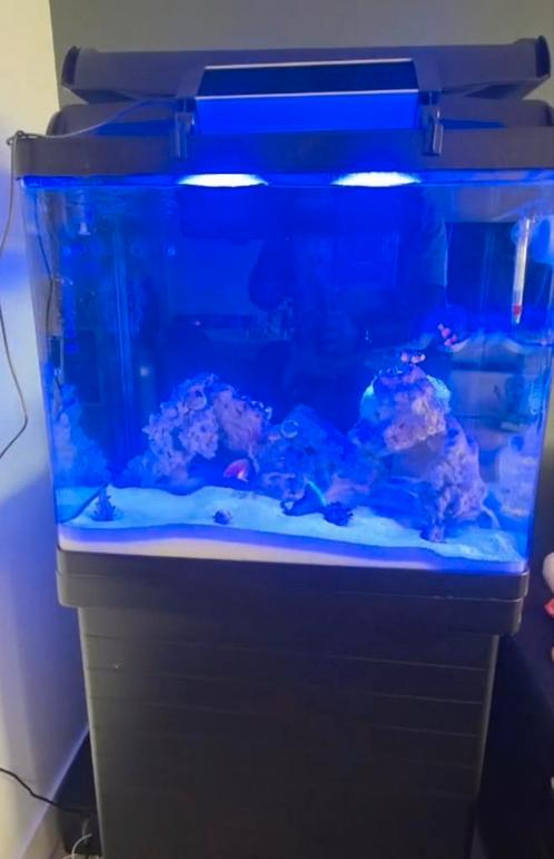 Zoutwater aquarium 140 liter, Dieren en Toebehoren, Vissen | Aquaria en Toebehoren, Zo goed als nieuw, Leeg aquarium, Ophalen
