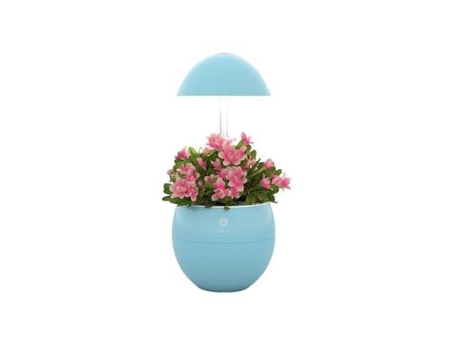 UrbanGreen-I-Grow led 3 blauw kweekkas, Tuin en Terras, Kweekspullen, Nieuw, Overige typen, Ophalen of Verzenden