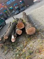 Gratis gekapte bomen in HOOFDDORP, Tuin en Terras, Haardhout, Ophalen