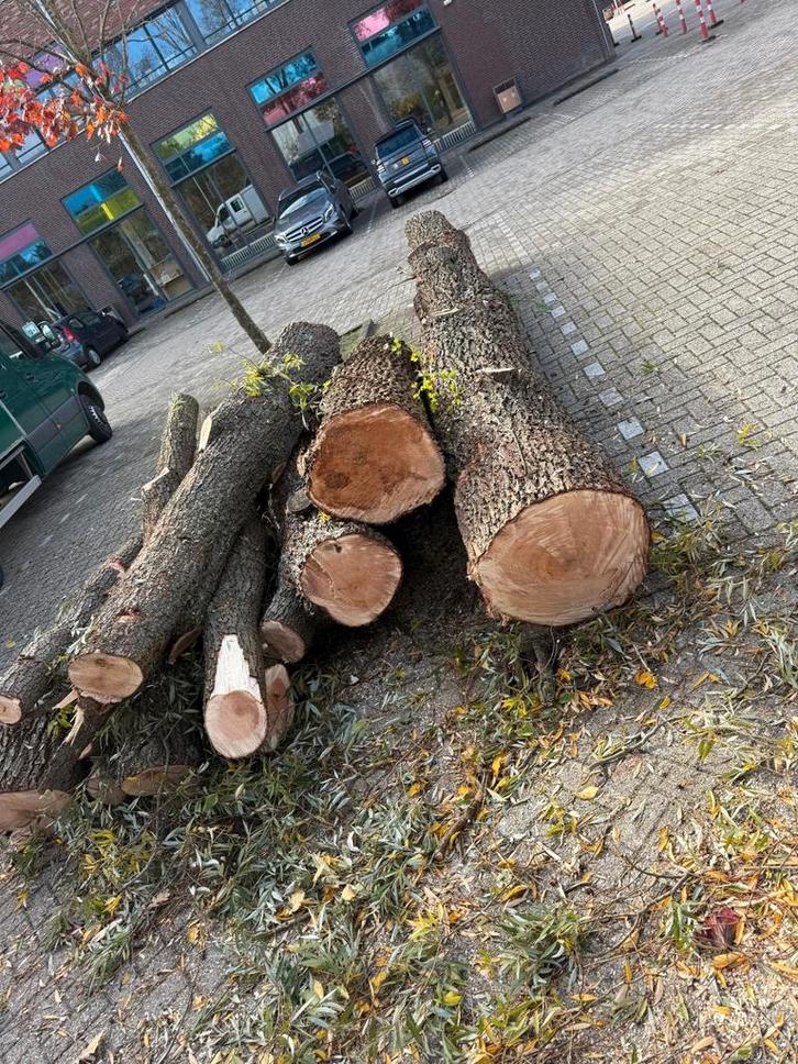 Gratis gekapte bomen in HOOFDDORP, Tuin en Terras, Haardhout, Ophalen
