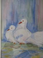Aquarel schilderij: Duiven, Antiek en Kunst, Ophalen of Verzenden