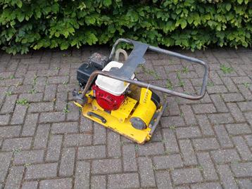 Wacker Neuson Trilplaat vp 1340 Aw 2019 beschikbaar voor biedingen