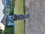 Tuinbeeld, Gebruikt, Minder dan 50 watt, Staande lamp, Aluminium