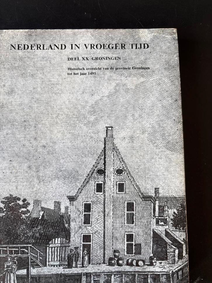 Nederland in Vroeger Tijd - Groningen tot 1491, Boeken, Geschiedenis | Stad en Regio, Gelezen, 15e en 16e eeuw, Ophalen of Verzenden