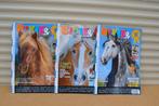 3 Mooie Bixie en friends Paarden boeken NR 9336, Boeken, Ophalen of Verzenden, Zo goed als nieuw, Paarden of Pony's
