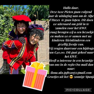 Huisbezoek van twee vrolijke pieten, een feestje beschikbaar voor biedingen