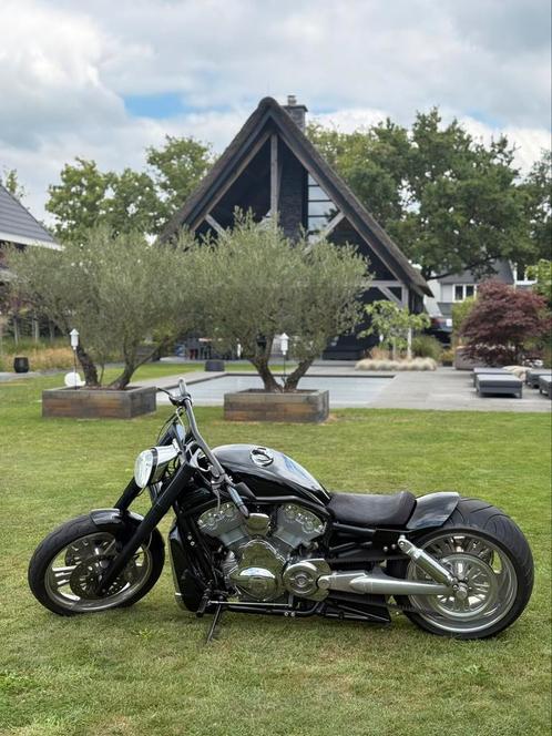 Harley Davidson V-rod Custom, Motoren, Motoren | Harley-Davidson, Particulier, Overig, meer dan 35 kW, 2 cilinders, Motorrijbewijs A
