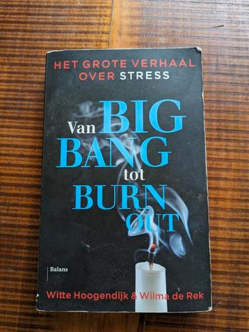 Witte Hoogendijk - Van big bang tot burn-out
