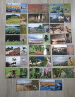 23 ansichtkaarten Natuur Natuurgebied Vogels Dieren, Ophalen of Verzenden, 1980 tot heden, Ongelopen, Natuur