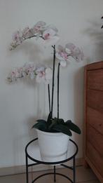 Prachtige zijden orchidee in pot 80cm hoog, Binnen, Ophalen of Verzenden, Zo goed als nieuw