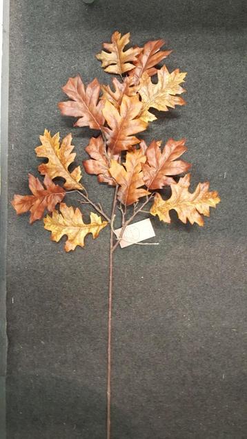 Kunst tak met bladeren (herfst) beschikbaar voor biedingen
