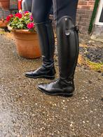 Petrie laarzen, Ophalen of Verzenden, Zo goed als nieuw, Dressuur, Schoeisel