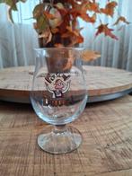 DUVEL BIERGLAS UIT 2000, Verzamelen, Ophalen of Verzenden, Zo goed als nieuw, Glas of Glazen, Duvel