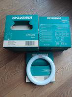 10x Sylvania Circline 22 Watt, Nieuw, Ophalen of Verzenden