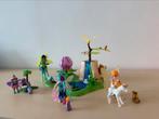 Playmobil Fairies, verschillende sets samengevoegde, Ophalen of Verzenden, Gebruikt