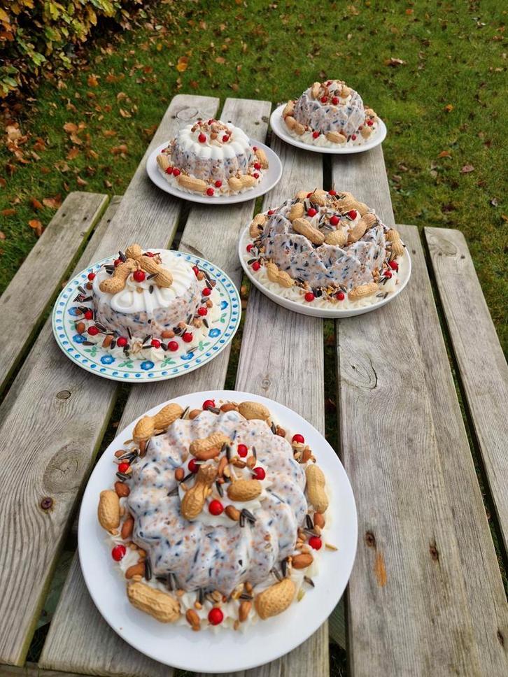 Vogeltaarten, Dieren en Toebehoren, Dierenvoeding, Ophalen